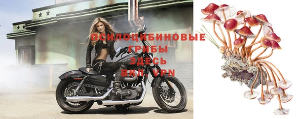 стафф Красноперекопск