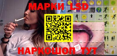 СК Донецк