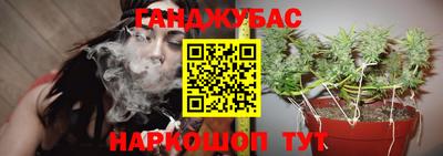 трава Гусиноозёрск