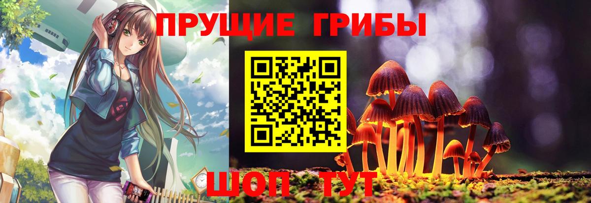 Псилоцибиновые грибы MAGIC MUSHROOMS  Псилоцибиновые грибы ЛСД  Керчь  Вход с VPN 
